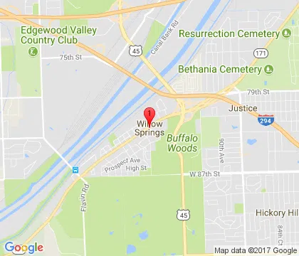 logo-image - willow-springs-il